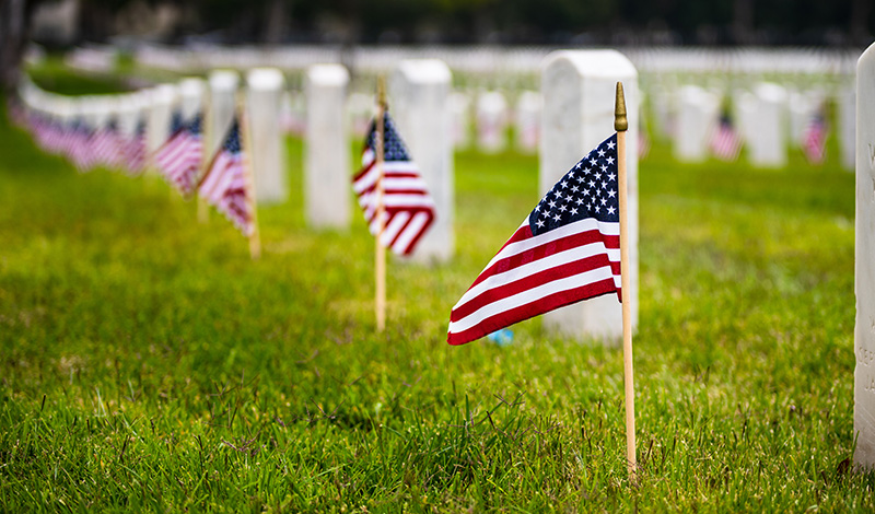 Events for veterans day