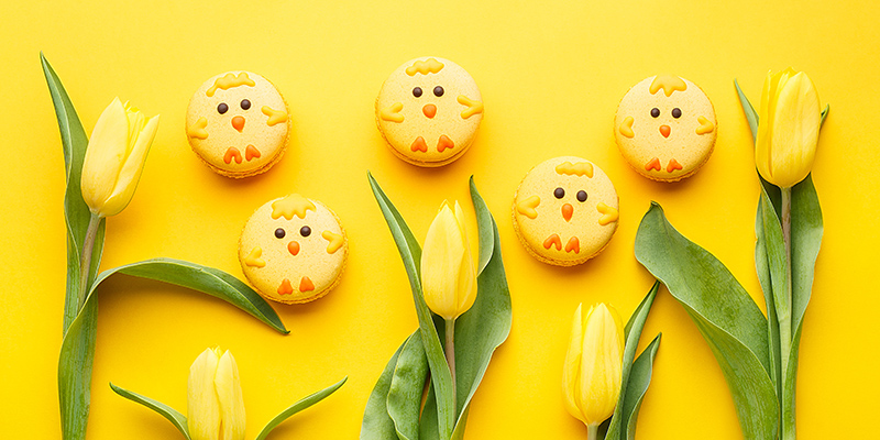 Set of easter macaroon chicks with yellow tulips over yellow bac easter dessert recipes