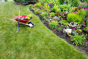 hoa spring landscaping