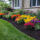 spring landscaping in hoa